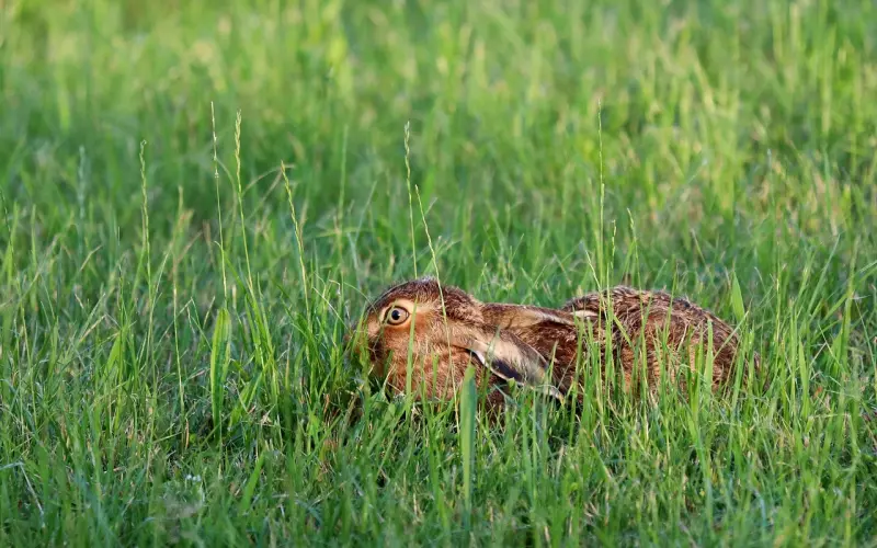 小心情绪又暴走