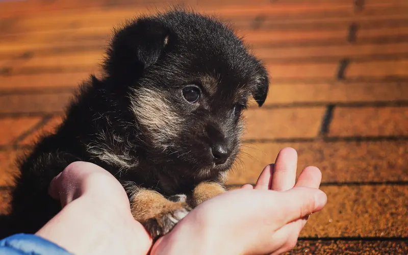 一生善良，必有后福