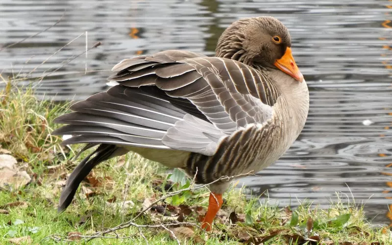 警惕你身边人的分手建议！