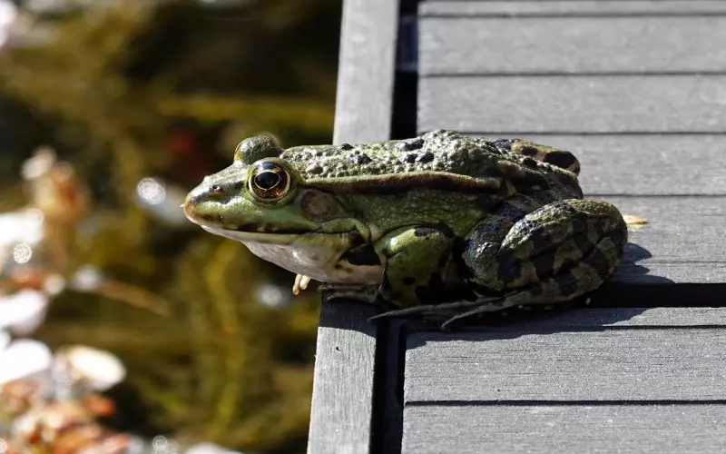 警惕潜在危机 7类闺蜜最易抢走你男友