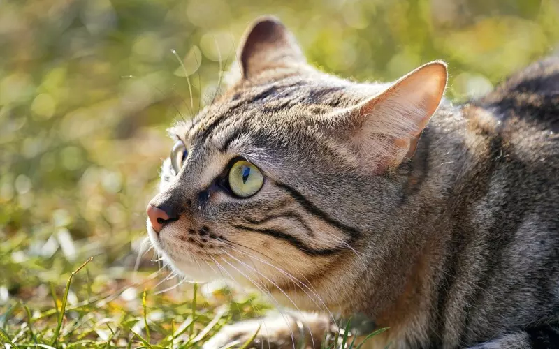 警惕桃色陷阱，男生和附近的人约会应当注意的几点