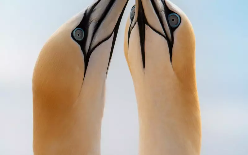 朋友圈晚安唯美的语录