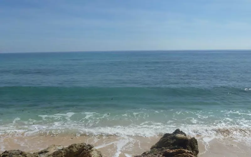 美好的爱情和感情不是盲目的投入付出