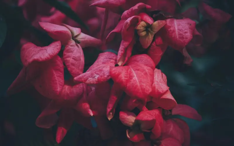 平凡岁月里的美丽爱情