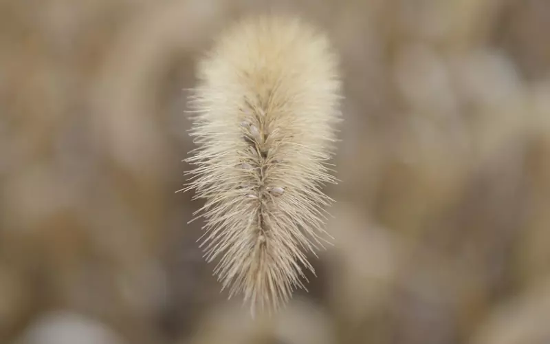 唯美短句子，句句伤感！适合做个性签名！