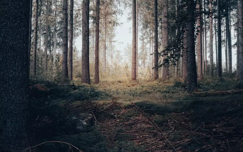 一段感情心累伤感的唯美说说短句