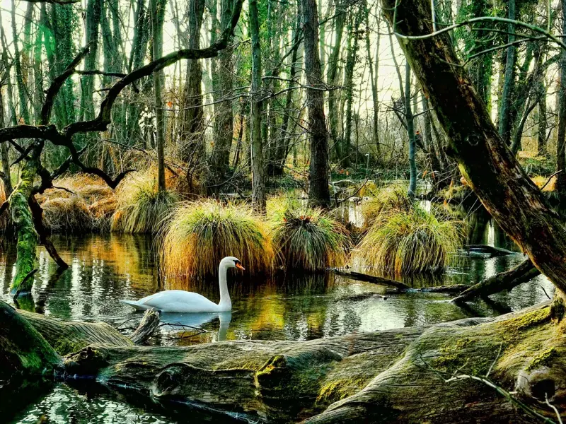 因为国庆节男友没来找我，我提了分手现在很后悔，该怎么挽回