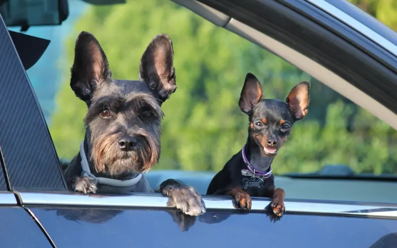 因为“听话”，男人选择离开你