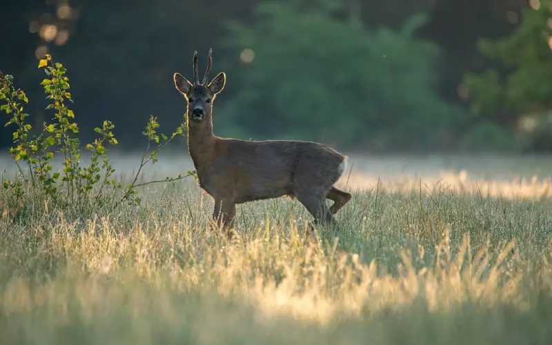因为信任，所以靠近！