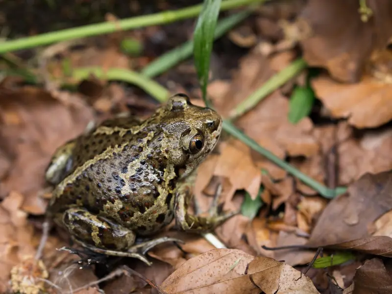 因为小三的出现让我和老公的婚姻变得岌岌可危，我该怎么应对这种情况