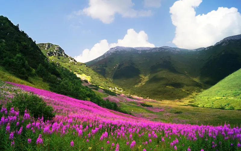 当上白富美，走上人生巅峰？百合网女神学院招生啦！