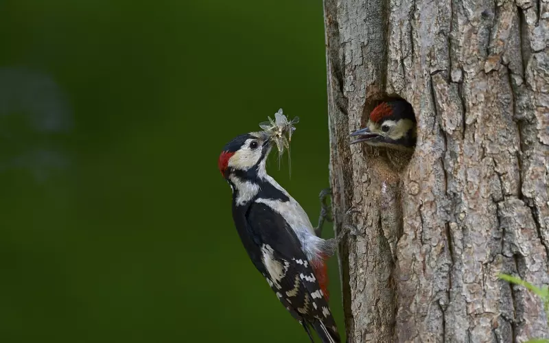 男女确定关系前，这个地方一定要查清楚