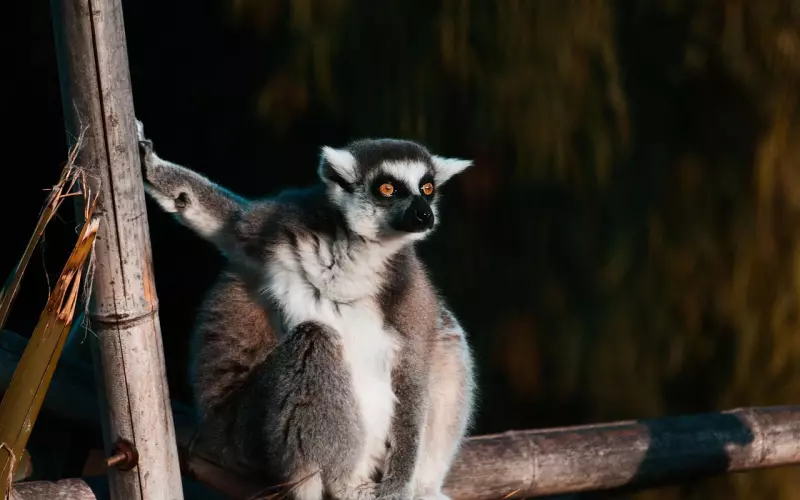 分手挽回前，你需要先了解清楚这些