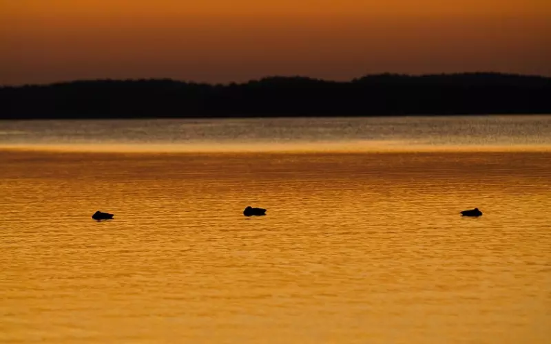 睡觉前，有这三个表现的男人，一定很爱你