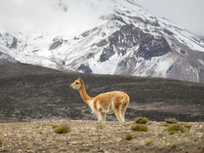 在挽回一段感情之前，这些问题一定要想清楚