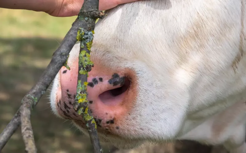 挽回爱情之前需要了解男友分手的原因