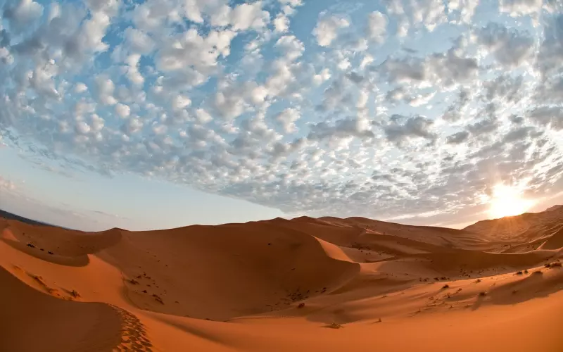 挽回爱情之前，你知道男人为什么变心吗？