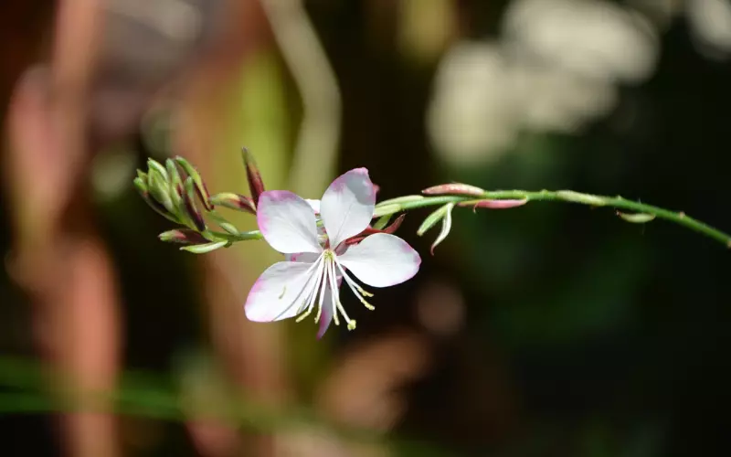 挽回男友之前 先学会换位思考