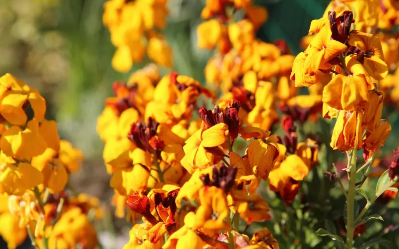 找不到伴侣的背后，藏着你的认知局限！