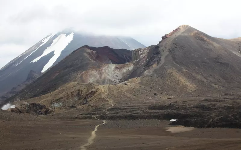 北岛最短的诗：虽只有一字，却道尽沧桑，说出了所有人的心里话