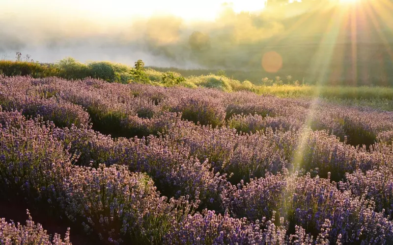 做人如草，开心就好！