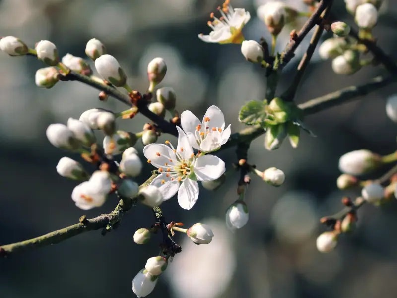 分手后被拉黑？用对方法成功率增加80%