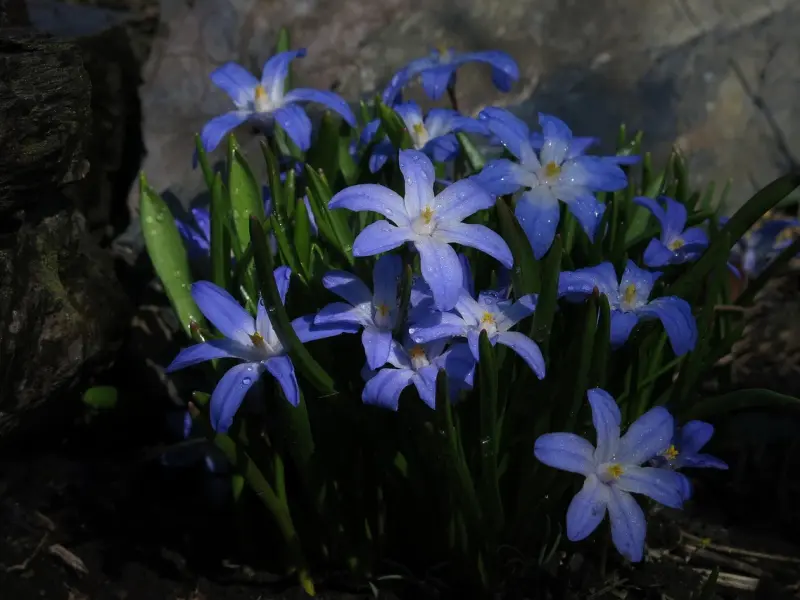 为感情而痛苦，可能是你忽略了一个点