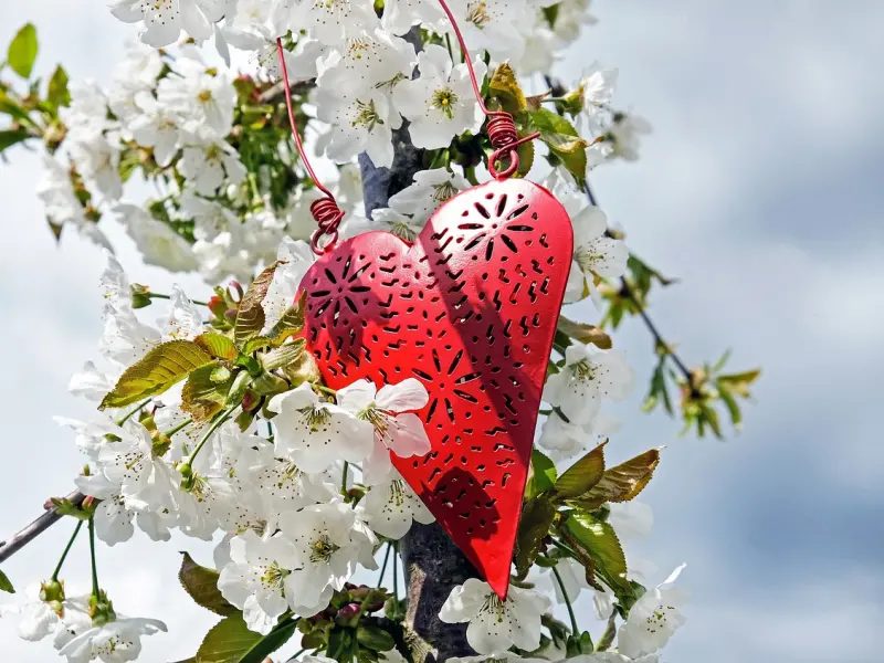 被这几个星座女生喜欢既痛苦又很爽