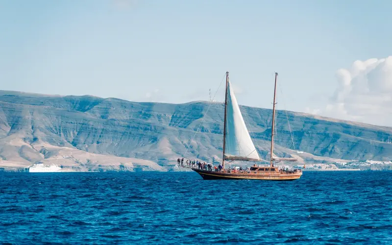 富而不贵是种痛。（深度好文）