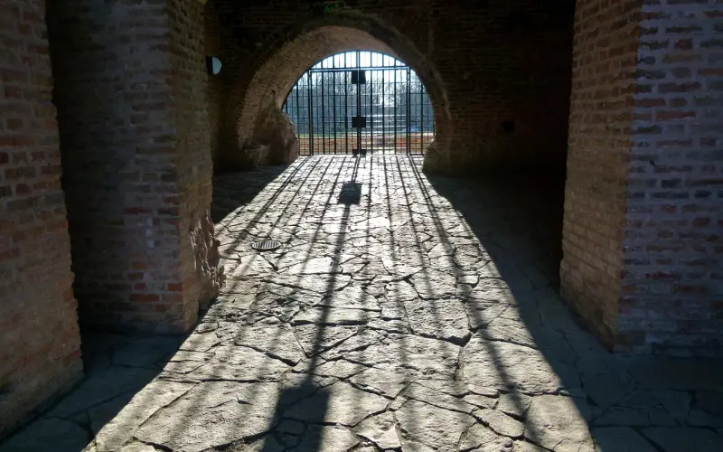 单身久了，容易变态