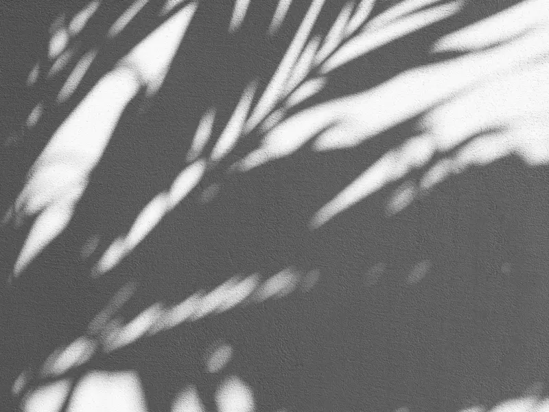 太直伤人，太真伤己（深度好文）