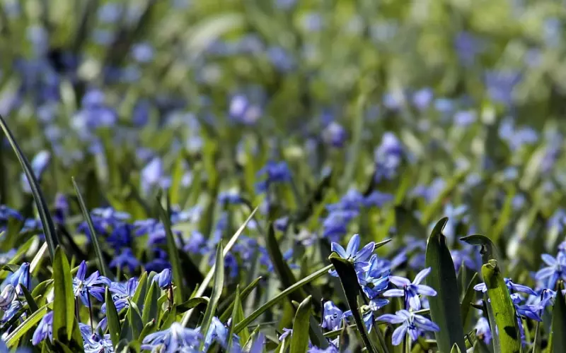 本绵的感谢信（挽回老婆）