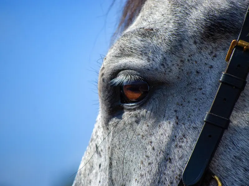 异性之间，有了这三种迹象，你们的关系就不纯洁了