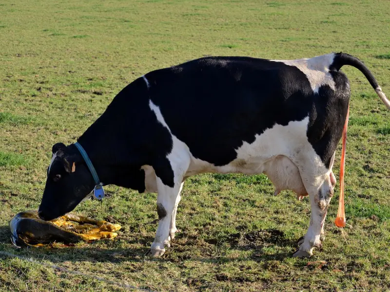 异性之间，“这事”频繁出现，说明关系已经不“纯洁”了！