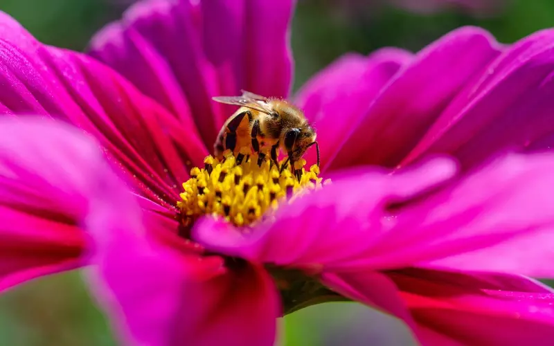 毕淑敏最美的16句话，写给女人！