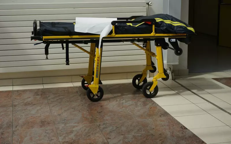 bl倾向毁所有，痛改前非后成功挽回老婆