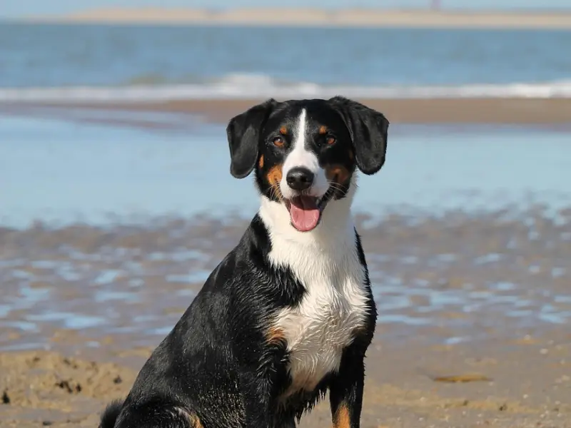 有福气的女人，身边往往都拥有这3样“东西”，你有吗？