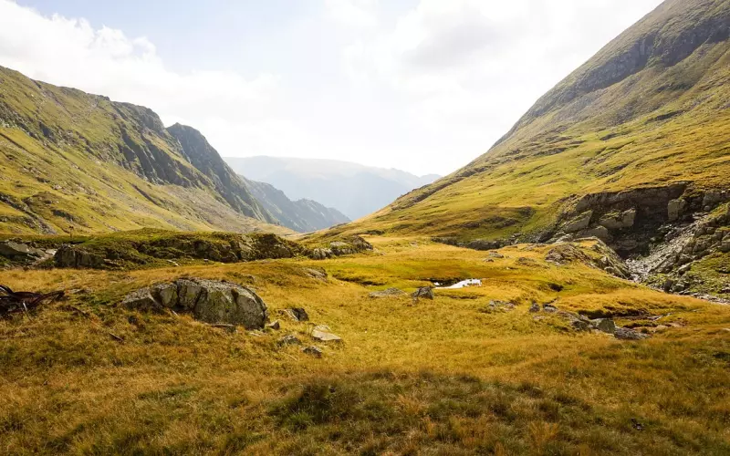拉黑一年多没有联系，15天加回微信（案列）