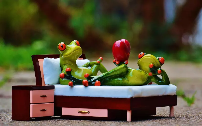 男友爱玩冷战 恋爱四年分手10次