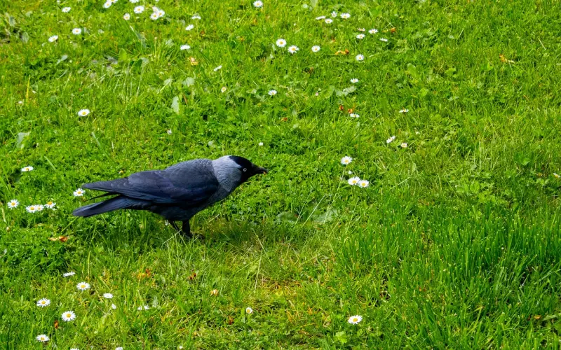 男朋友想分手往往会有这3个征兆