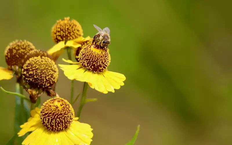男生有这“4个坏动作”，女生虽气犹爱