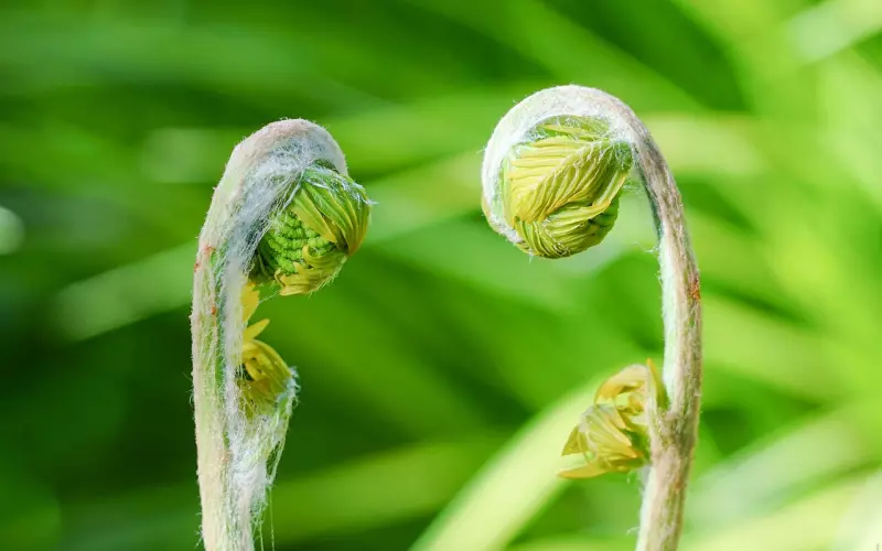 分手、断联、出现新欢、放弃or挽回