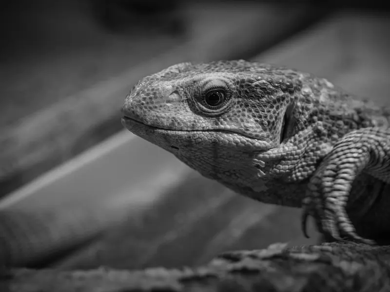 分手挽回：如何快速挽回巨蟹男朋友