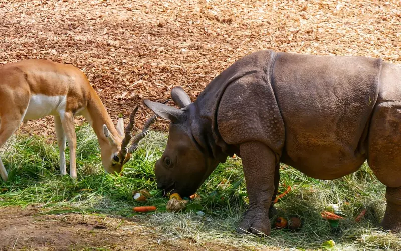 分手挽回攻略：怎么挽回前女友，如何挽回女朋友