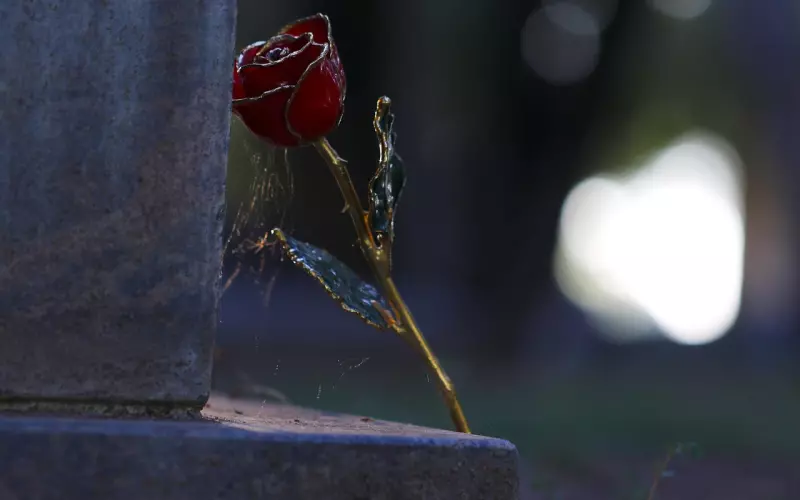 分手挽回：男人为什么不爱你了？