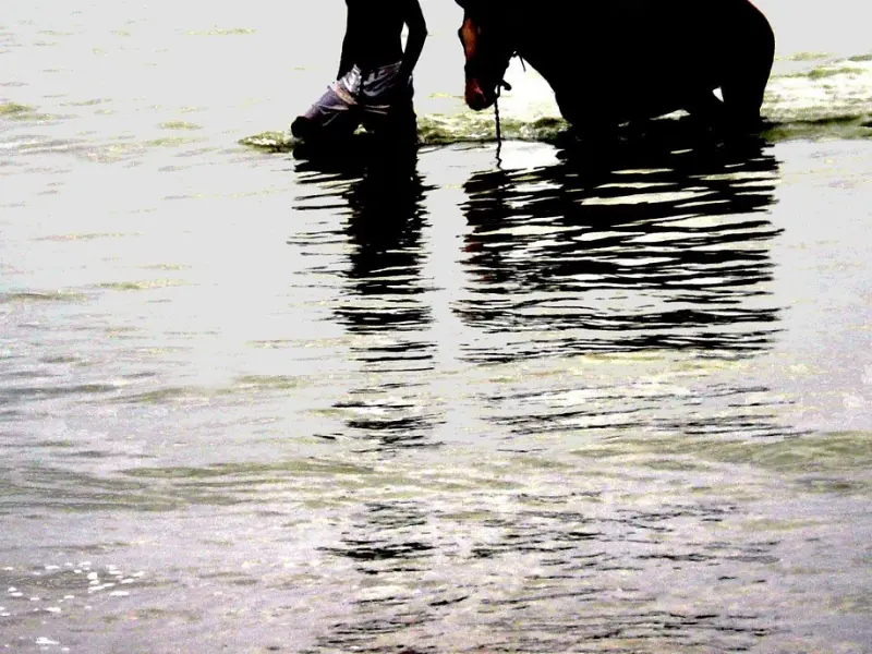 短一点走心的心情说说，句句走心！