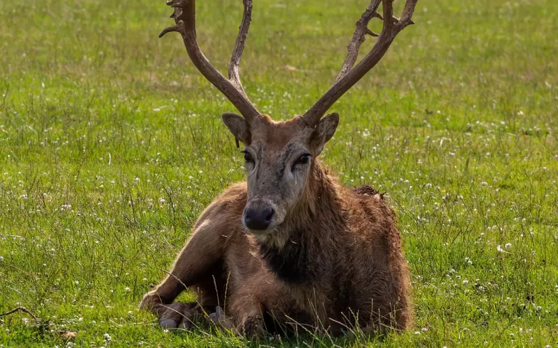适合孩子佩戴的佛牌
