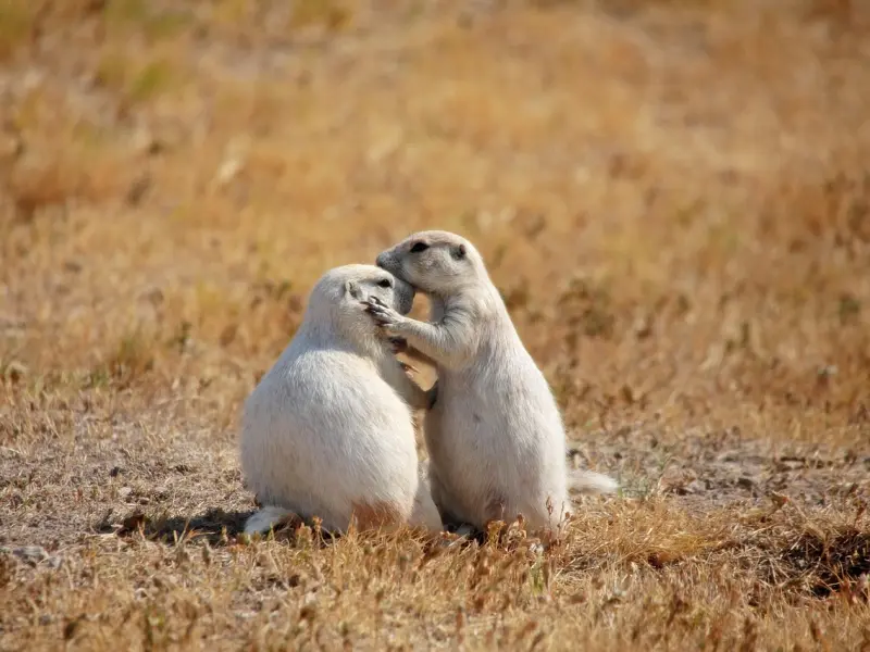 朋友圈建设 - 活动篇①