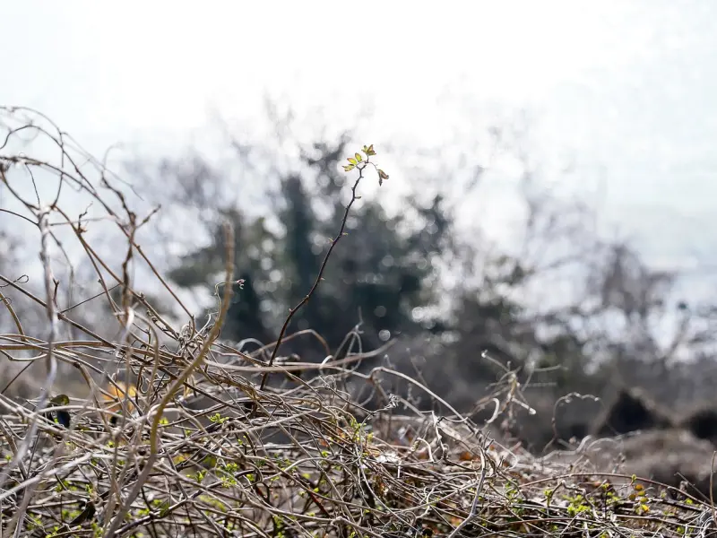 “作”走的男友还能挽回吗？