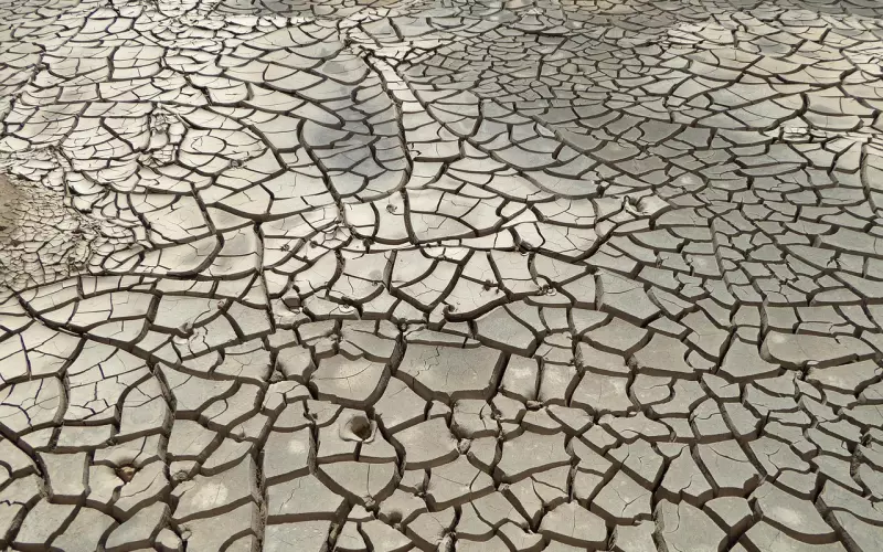 伤透了的心还能挽回吗